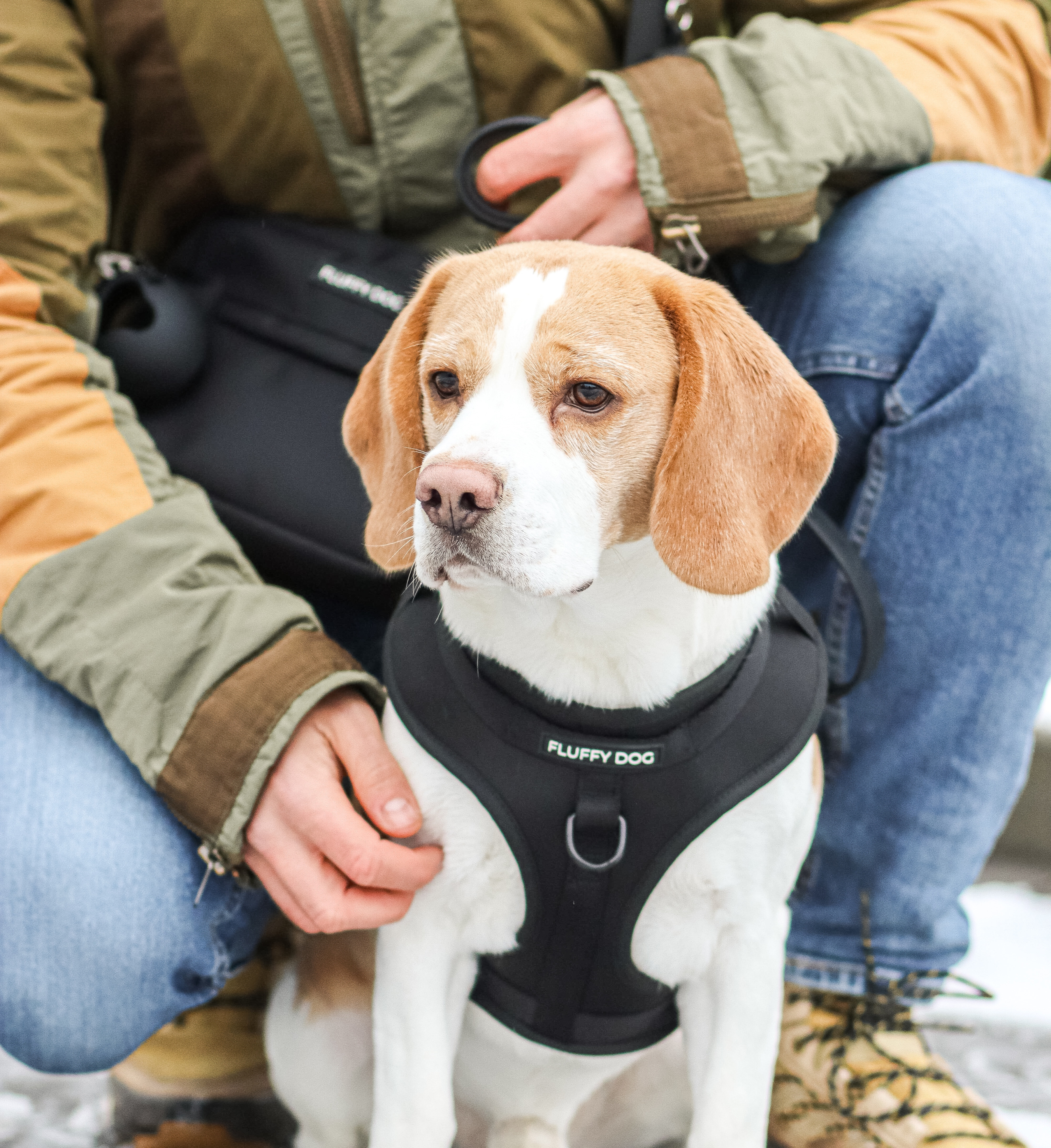 BioThane® All Black Essential Harness Set: Harness, Leash & Poop Bag Dispenser